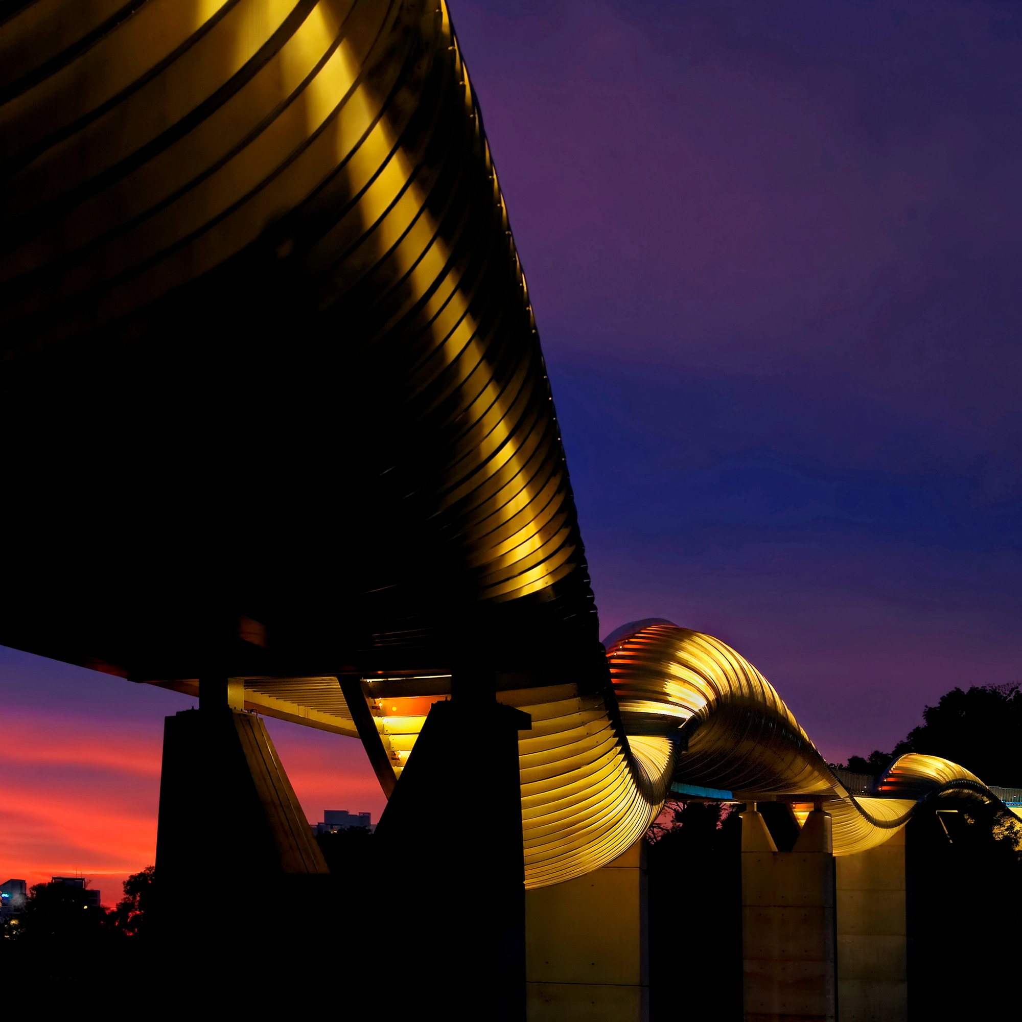 A ground view of the Henderson Waves bridge at night